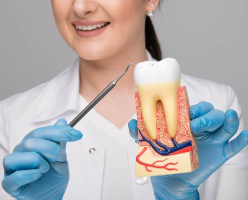 a female doctor holding a decayed tooth with visible cavities and a dental tool, emphasizing the importance of periodontal treatments for maintaining gum health.